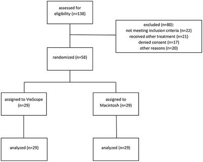 Elective Tracheal Intubation With the VieScope—A Prospective Randomized Non-inferiority Pilot Study (VieScOP-Trial)